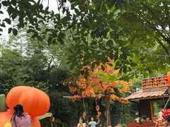 -HERRE·FARM 赫尔露营农场·团建聚会包场