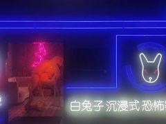 -白兔子密室(长寿路店)