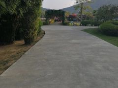 -亚龙湾国际玫瑰谷