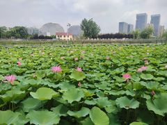 -保定东湖公园(莲池区)