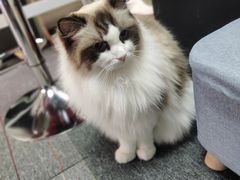 -零纪元VR体验馆·桌游(黄浦店)