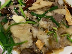 -新白家罩饼(三丰路店)