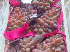 -马陆小张葡萄园农家乐