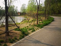 -东郊湿地公园