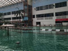 -龙脉温泉室内游泳馆