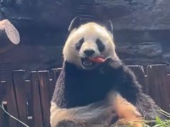 -石家庄市动物园