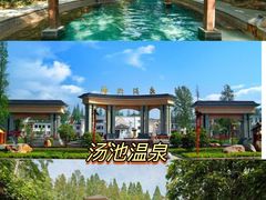 -千年银杏谷文化旅游区