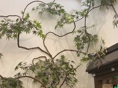 -耳艺采耳·足疗·按摩SPA(市桥店)