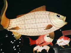 -肥福排档(星光店)