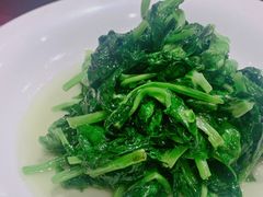 酒香豆苗-老吉士酒家(天平路店)