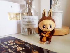 -泡泡玛特POPMART(石景山万达店)