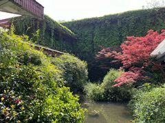 -中国茶叶博物馆(双峰馆区)
