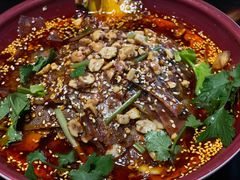-陈麻婆豆腐总店