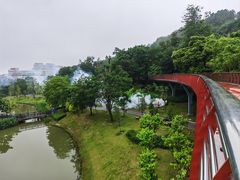 -王借岗森林公园