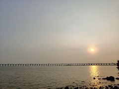 -宝安西湾红树林湿地公园