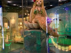 -成都泰迪熊博物馆