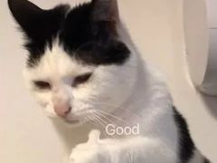 -南苑环球酒店云顶高级中餐厅(鄞县大道店)