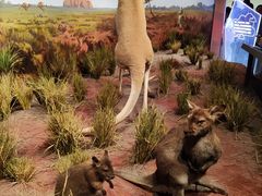 -陕西自然博物馆