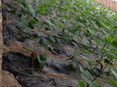 iphone_upload_pic-万源龙顺度假庄园生态观光园