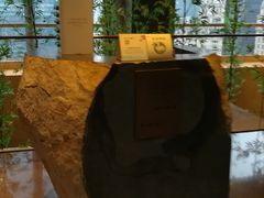 -广州富力君悦大酒店空中花园