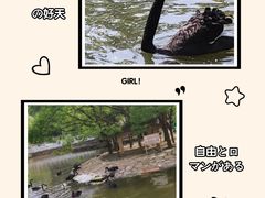 -黔灵山公园