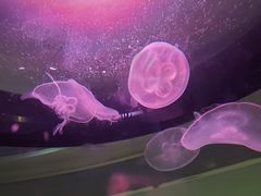 -常州海昌海洋探索馆