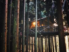 -武陵山森林公园