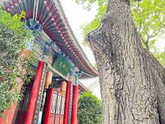 -关中书院