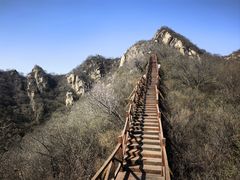 -大岭沟猕猴桃谷风景区