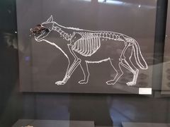 -北京周口店北京人遗址博物馆