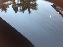 -有猫主题·治愈系猫咖(曾厝垵店)