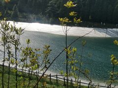 -武陵山森林公园