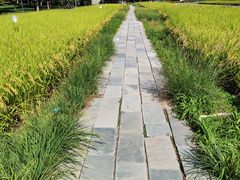 -北坞公园