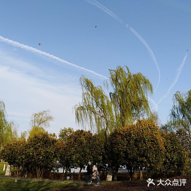 翡翠湖公园开放第一天， 阳光正好， 风轻云淡