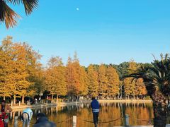 -南宁南湖公园