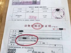 账单-阿九笨鸡蛋手擀面(总店)