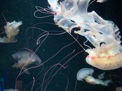 -成都浩海立方海洋公园