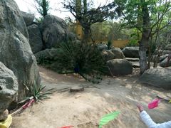 -临沂动植物园