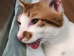 -爱侣宠医·鹦鹉专科·小型哺乳类·异宠专科(灵石路店)