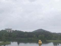 -上海佘山世茂艾美酒店