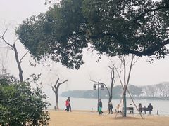 -西湖外事游船(花港观鱼码头)