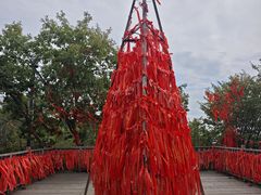 -帽儿山国家森林公园