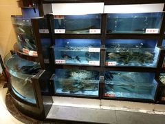水产区-岭南海晏楼(东晓南店)