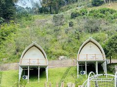 -江西阳明山国家森林公园