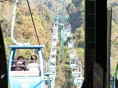-野象谷景区