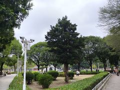 -金砂公园