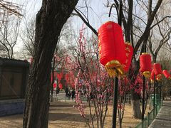 -太原动物园