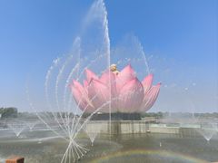 -白洋淀风景区