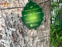 -仁和公园(顺义区)