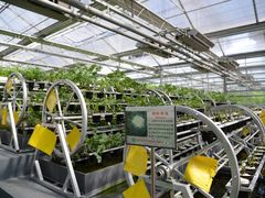 -兰陵国家农业公园